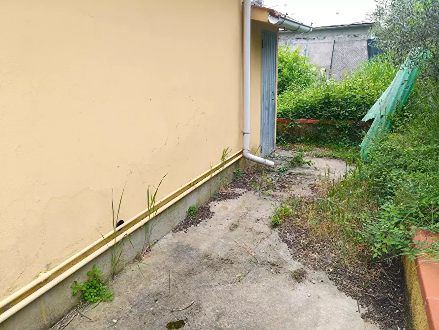 Immagine 3 di Villa in vendita  a Pietrasanta