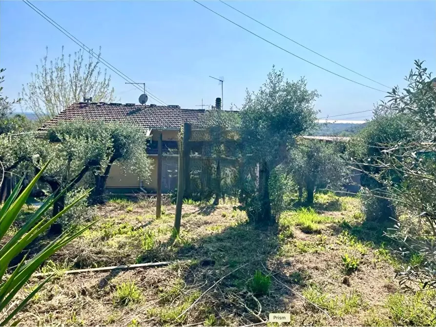 Immagine 4 di Villa in vendita  a Pietrasanta