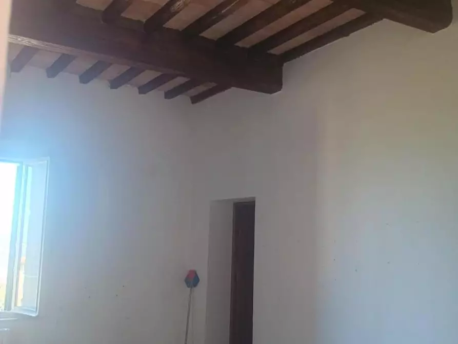 Immagine 6 di Appartamento in vendita  a Peccioli