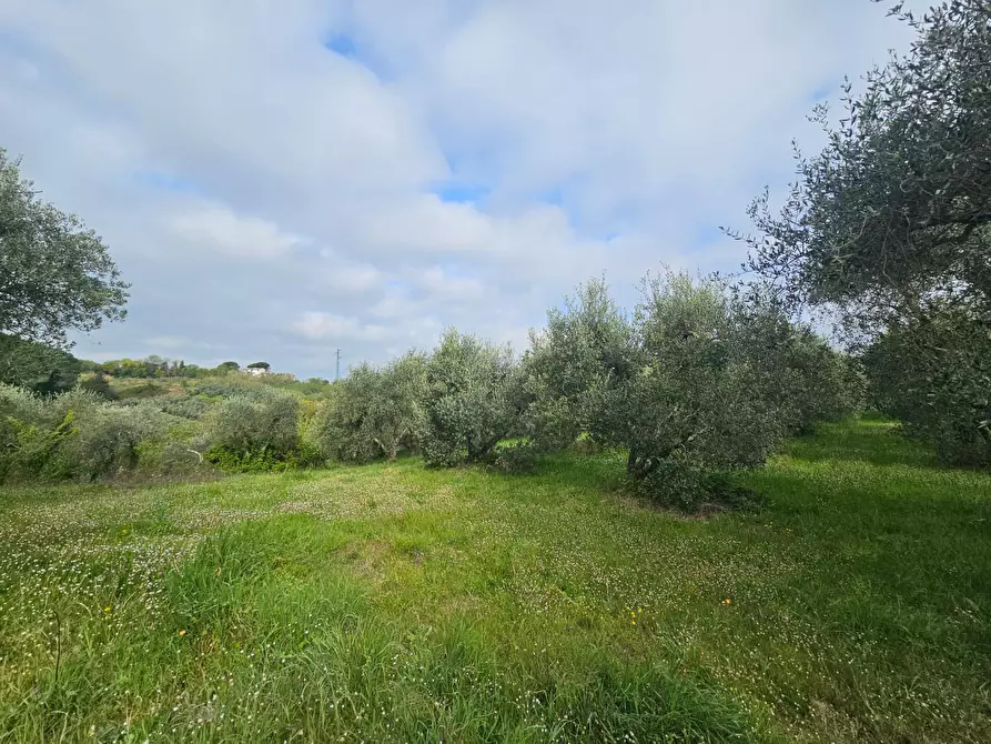 Immagine 33 di Appartamento in vendita  a Casciana Terme Lari