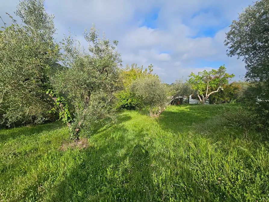 Immagine 31 di Appartamento in vendita  a Casciana Terme Lari