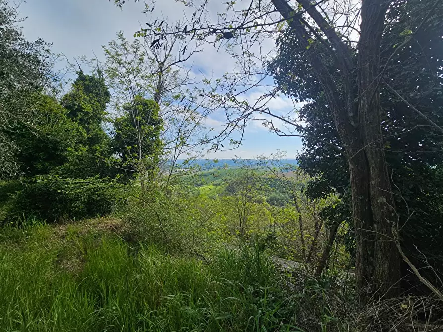 Immagine 34 di Appartamento in vendita  a Casciana Terme Lari