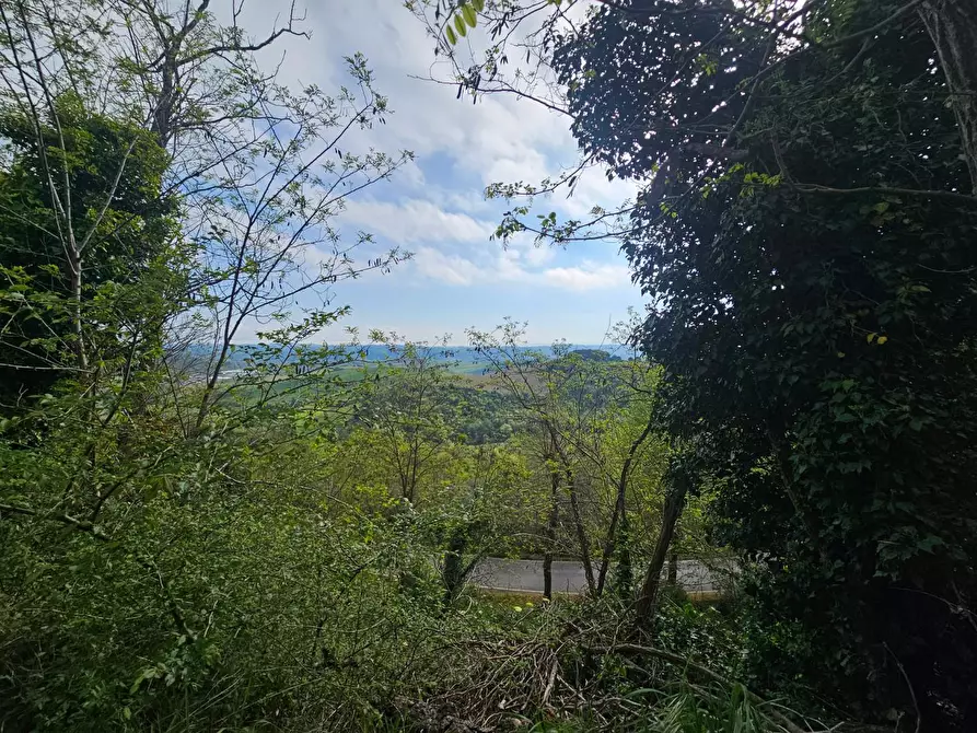 Immagine 35 di Appartamento in vendita  a Casciana Terme Lari