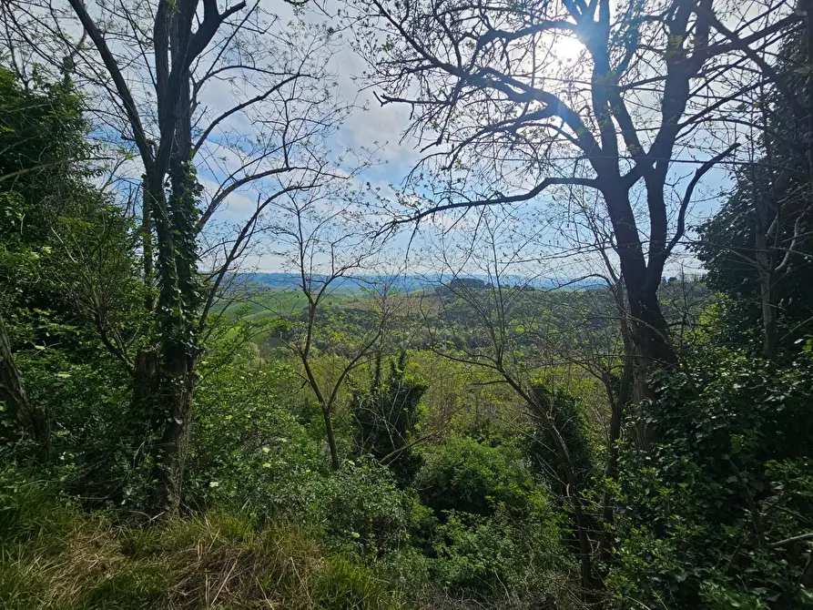 Immagine 37 di Appartamento in vendita  a Casciana Terme Lari