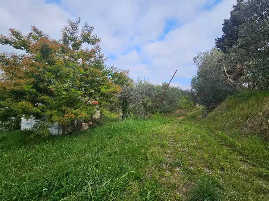 Immagine 40 di Appartamento in vendita  a Casciana Terme Lari