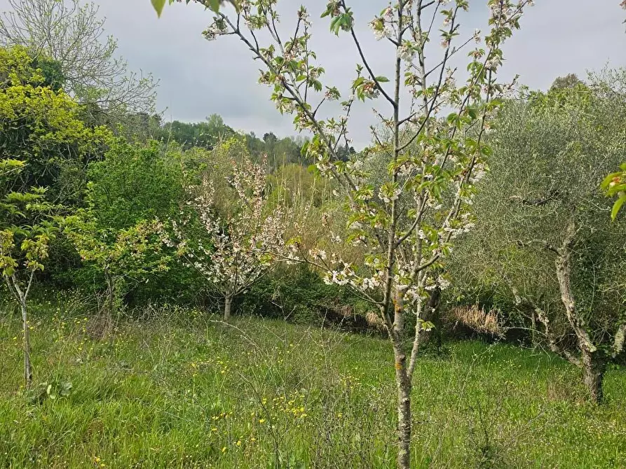 Immagine 39 di Appartamento in vendita  a Casciana Terme Lari