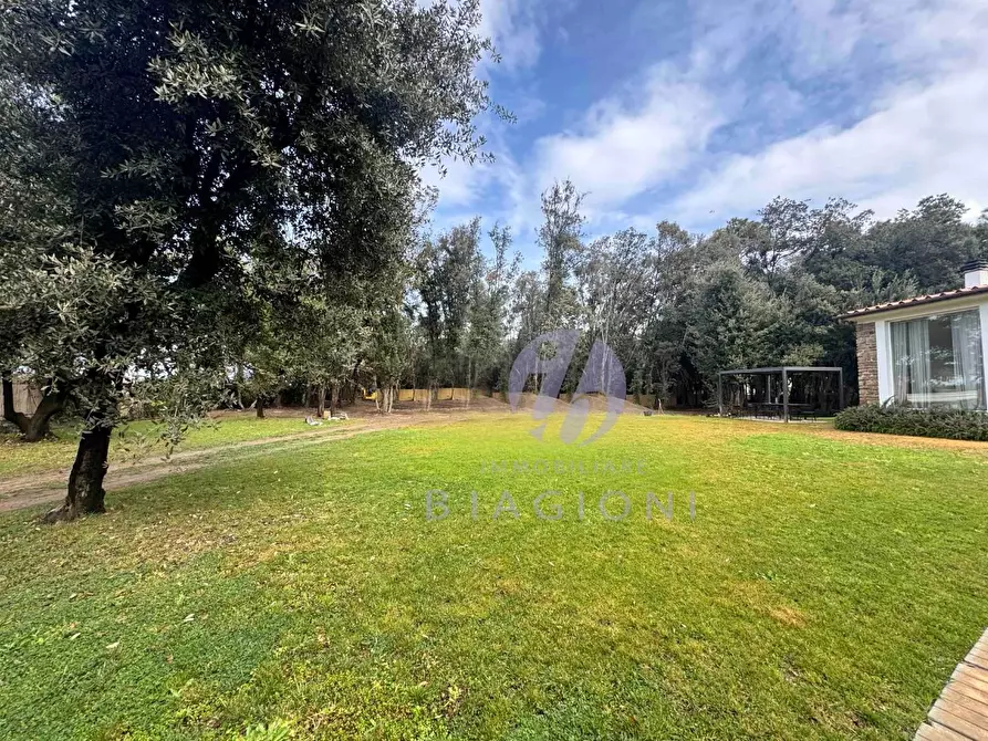 Immagine 4 di Villa in vendita  a Pietrasanta