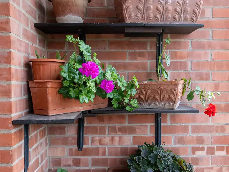 Immagine 31 di Appartamento in vendita  a Cascina