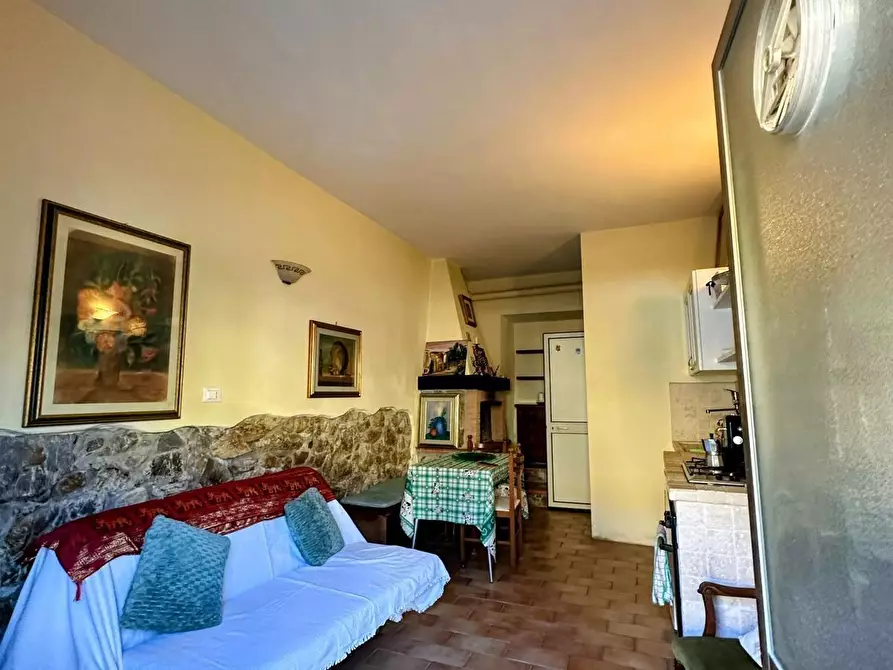 Immagine 2 di Loft/Open space in vendita  a Campiglia Marittima