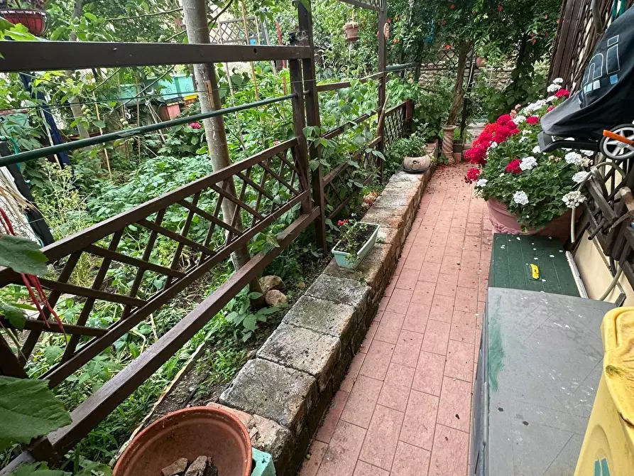 Immagine 5 di Villetta a schiera in vendita  a Campiglia Marittima