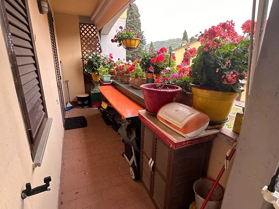 Immagine 7 di Villetta a schiera in vendita  a Campiglia Marittima