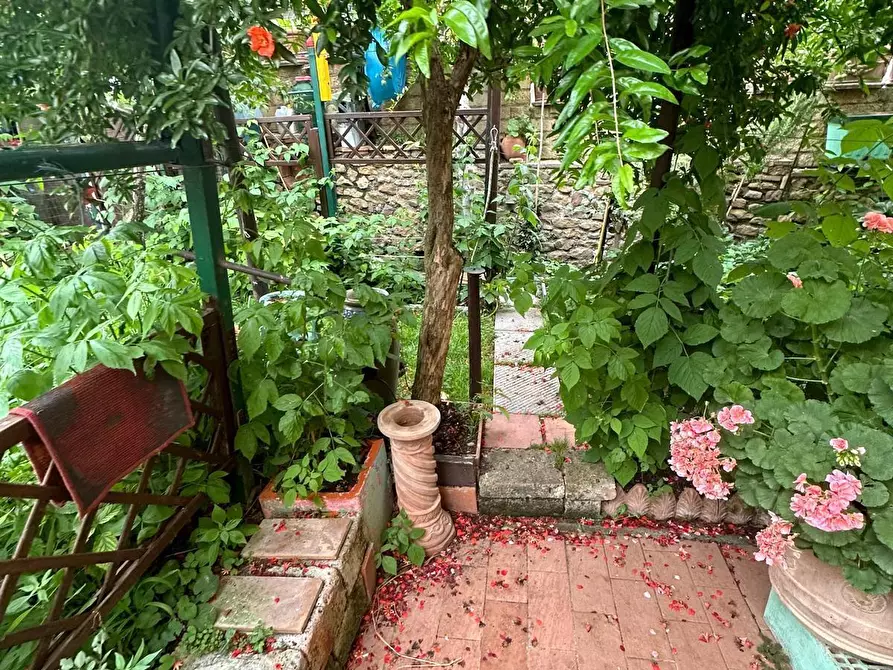 Immagine 4 di Villetta a schiera in vendita  a Campiglia Marittima