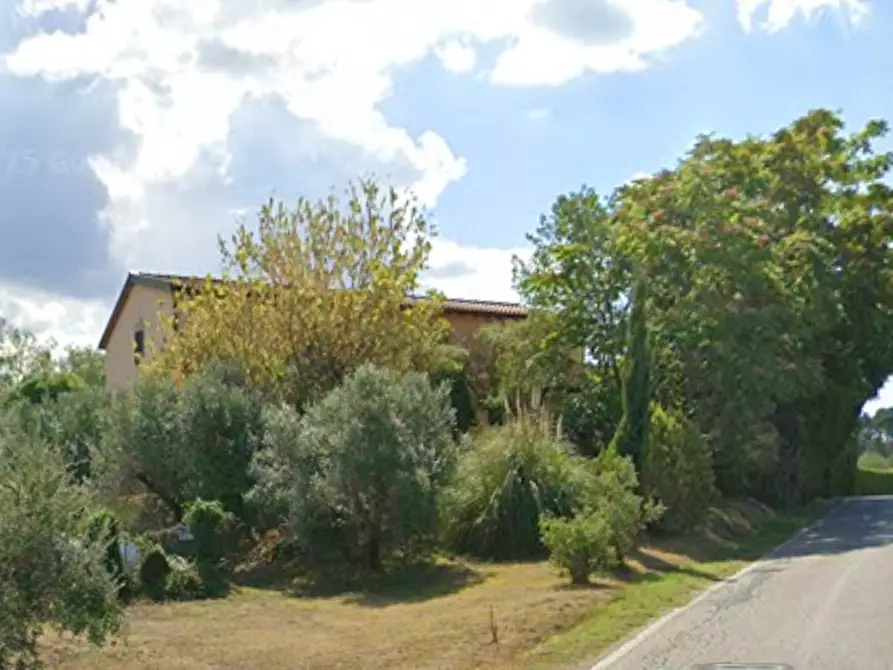 Immagine 9 di Terratetto in vendita  a Casciana Terme Lari