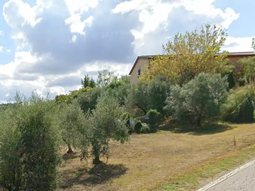 Immagine 10 di Terratetto in vendita  a Casciana Terme Lari