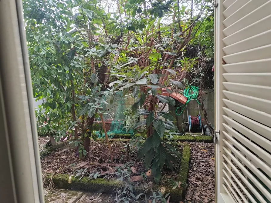 Immagine 4 di Appartamento in vendita  a Massa