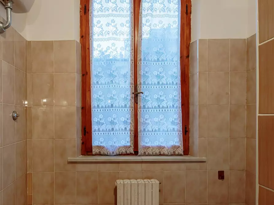 Immagine 11 di Appartamento in affitto  a Pisa