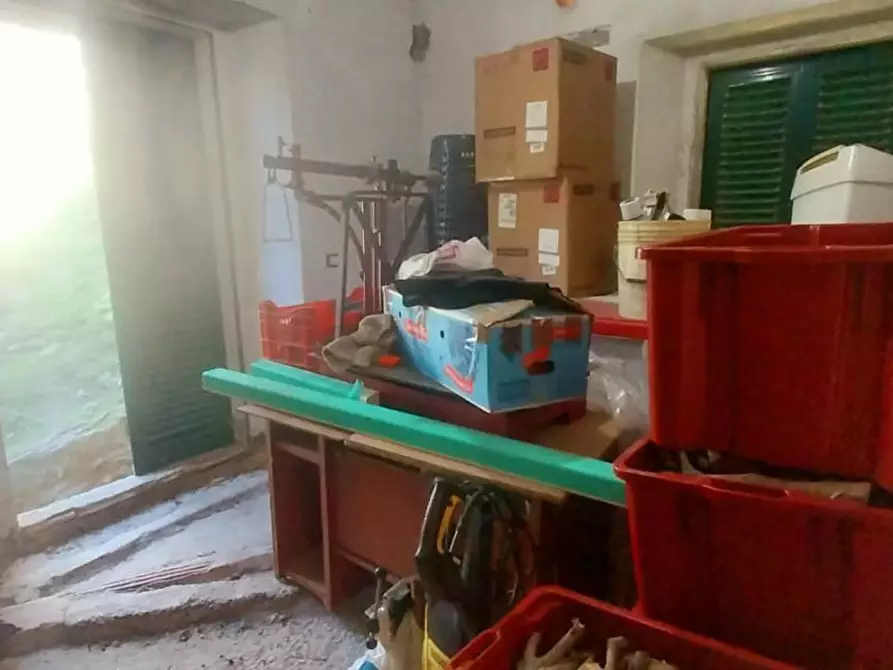 Immagine 3 di Terratetto in vendita  a Calci