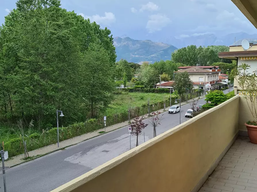 Immagine 5 di Appartamento in affitto  a Massa
