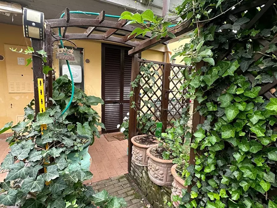 Immagine 3 di Villetta a schiera in vendita  a Campiglia Marittima
