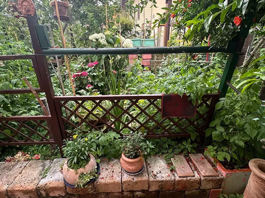 Immagine 8 di Villetta a schiera in vendita  a Campiglia Marittima