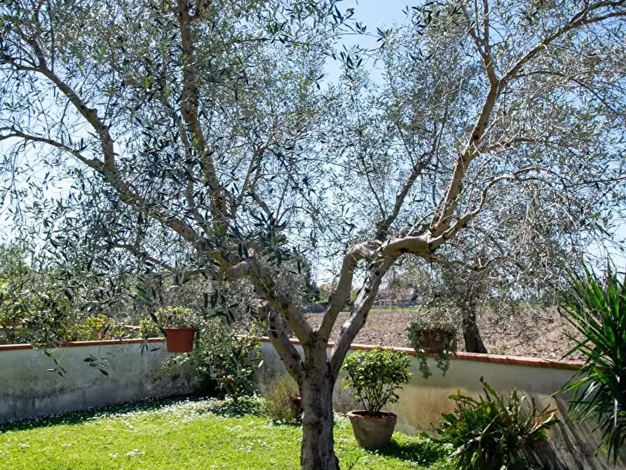 Immagine 6 di Villa in vendita  a San Giuliano Terme