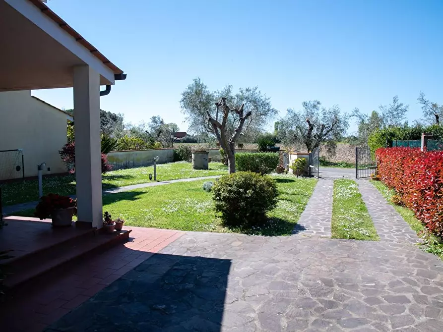 Immagine 11 di Villa in vendita  a San Giuliano Terme