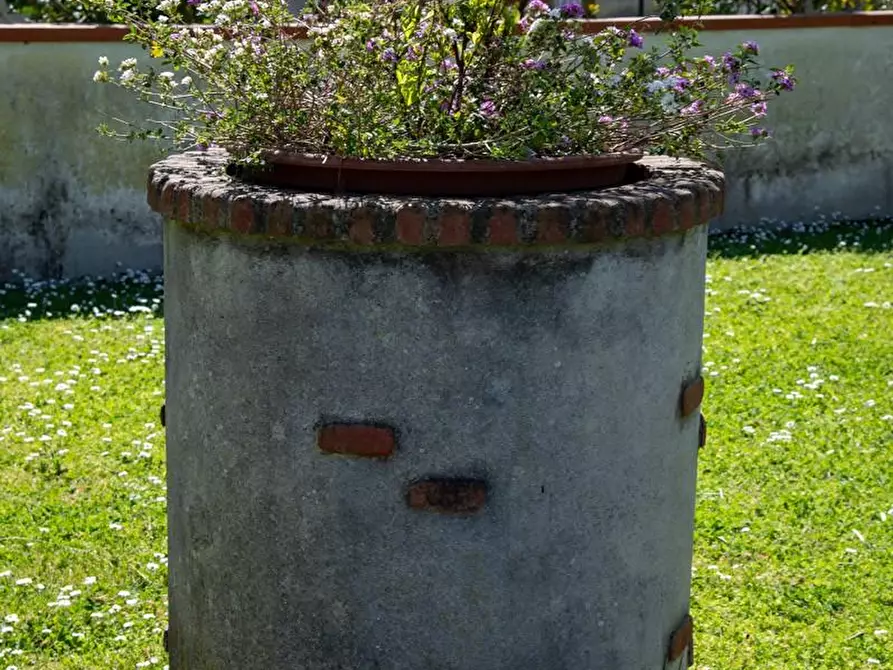 Immagine 5 di Villa in vendita  a San Giuliano Terme