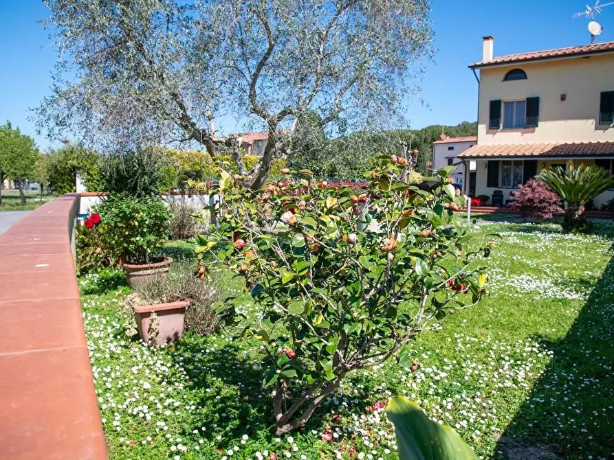 Immagine 4 di Villa in vendita  a San Giuliano Terme