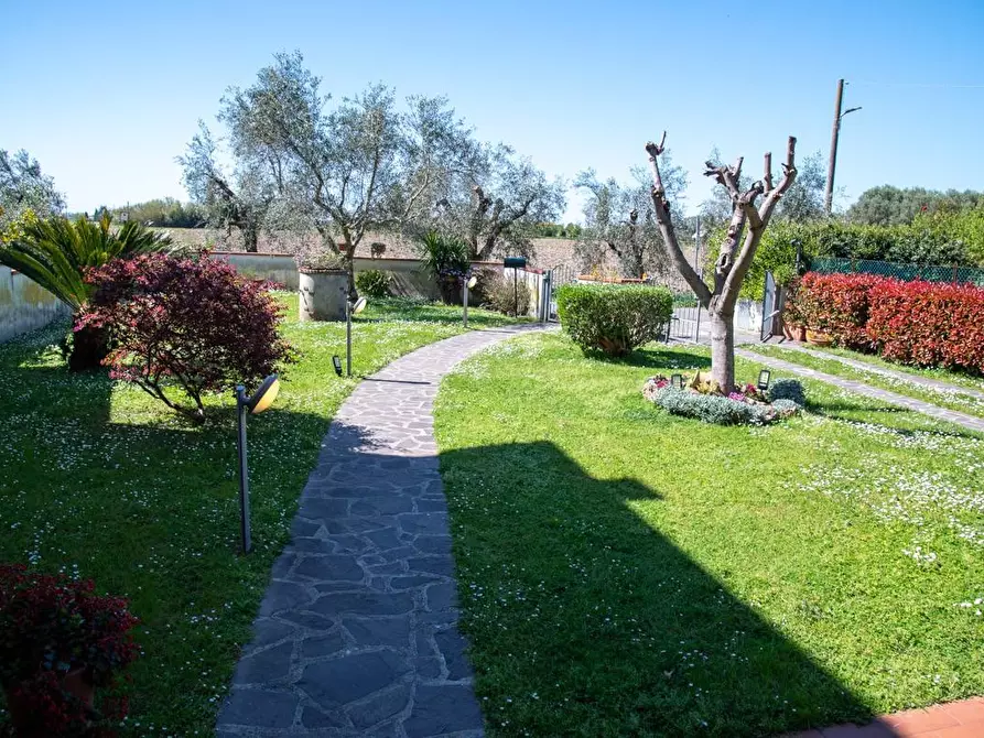 Immagine 10 di Villa in vendita  a San Giuliano Terme