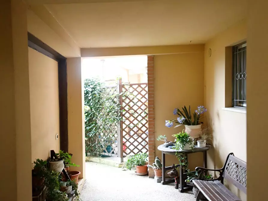 Immagine 40 di Appartamento in affitto  a Collesalvetti