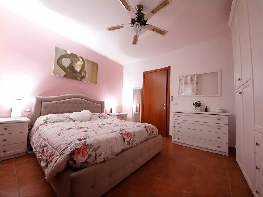 Immagine 24 di Appartamento in affitto  a Collesalvetti