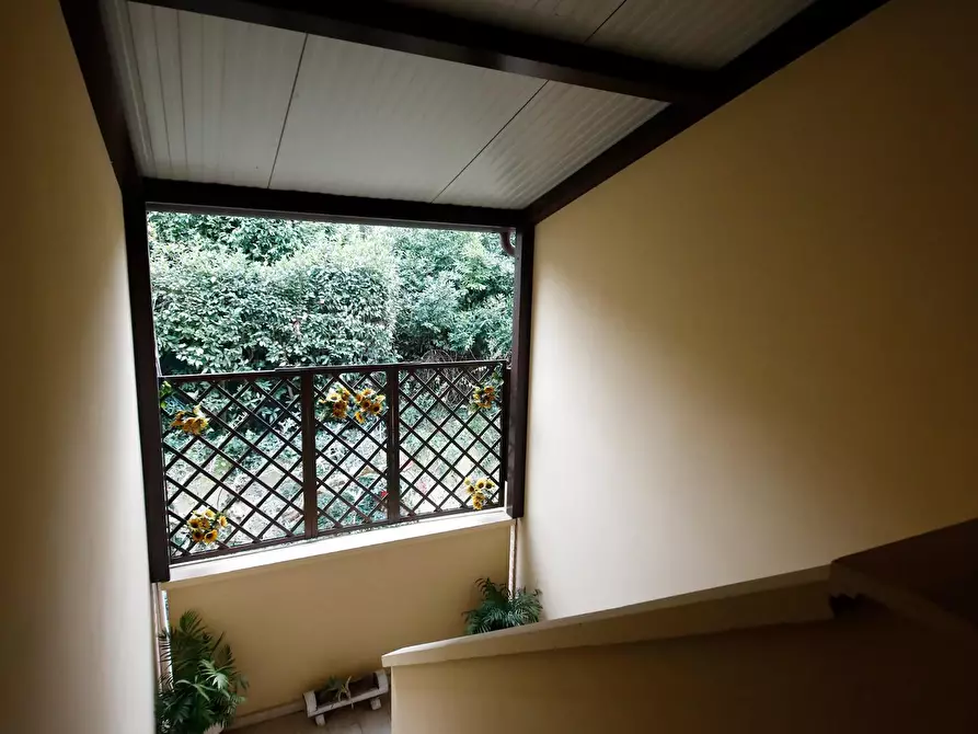 Immagine 39 di Appartamento in affitto  a Collesalvetti