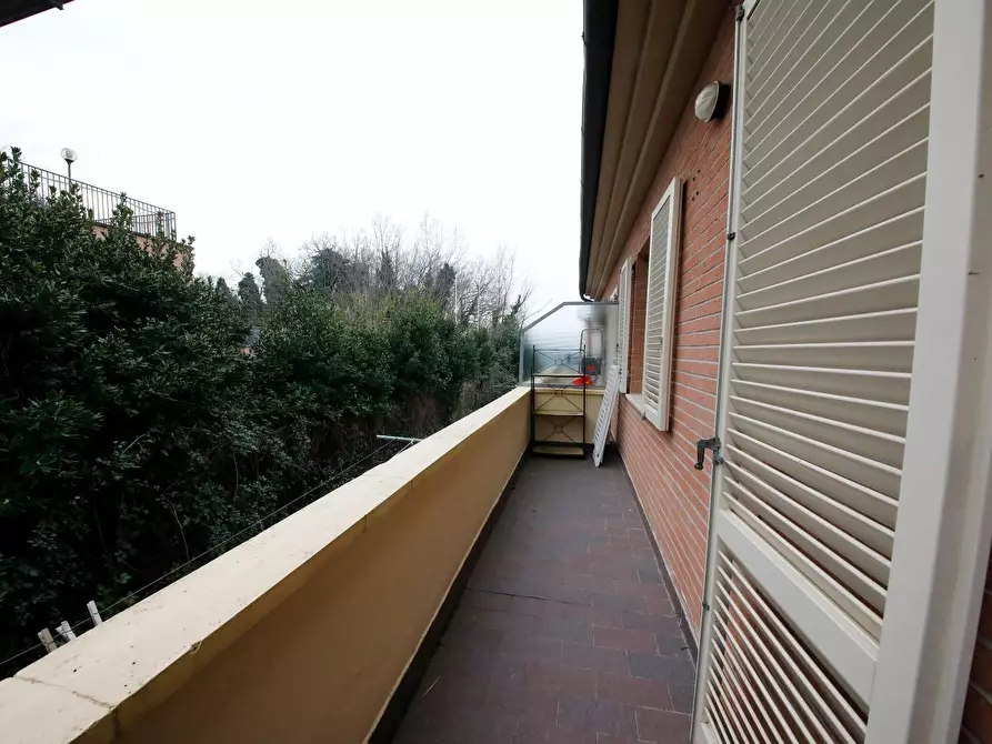 Immagine 36 di Appartamento in affitto  a Collesalvetti