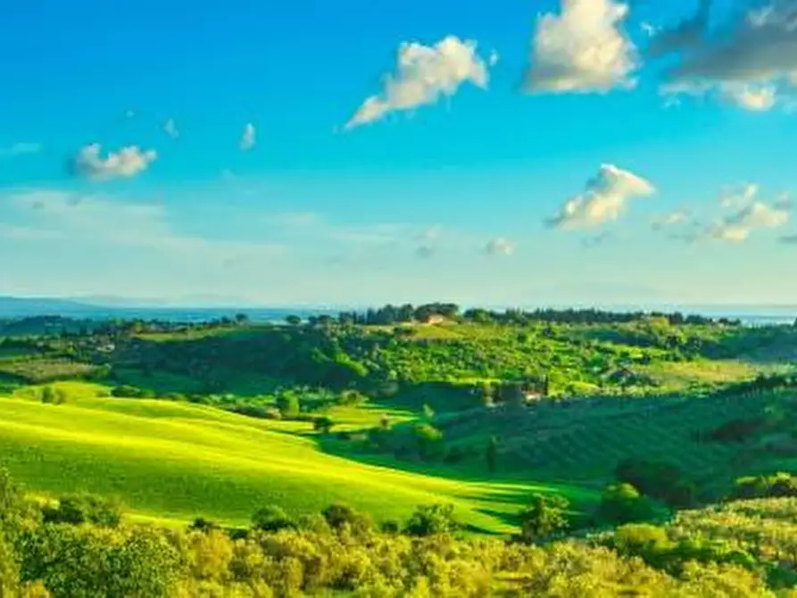 Immagine 2 di Villa in vendita  a Bibbona