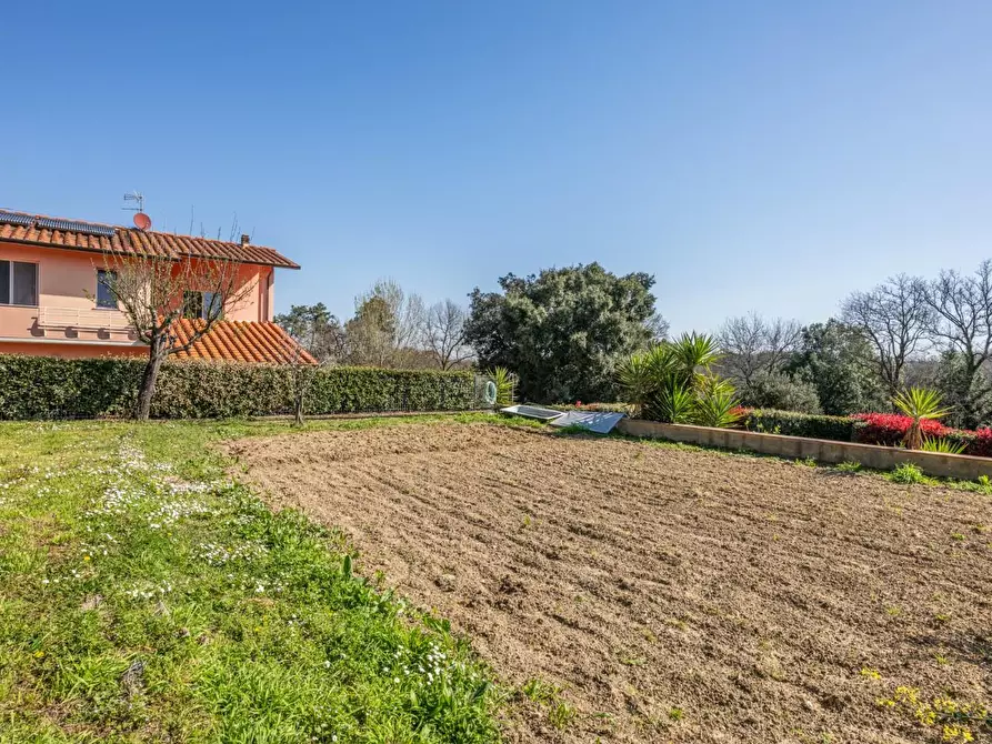 Immagine 66 di Villa in vendita  a Pontedera
