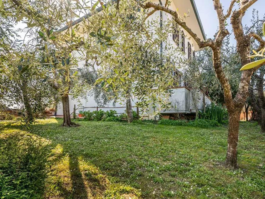 Immagine 69 di Villa in vendita  a Pontedera