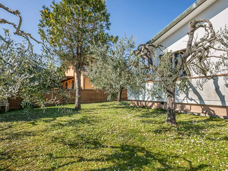 Immagine 59 di Villa in vendita  a Pontedera