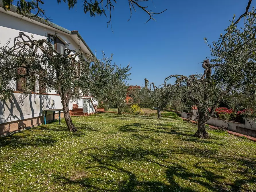 Immagine 63 di Villa in vendita  a Pontedera