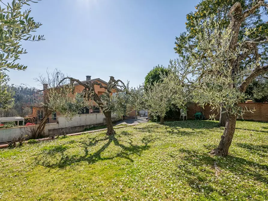 Immagine 58 di Villa in vendita  a Pontedera