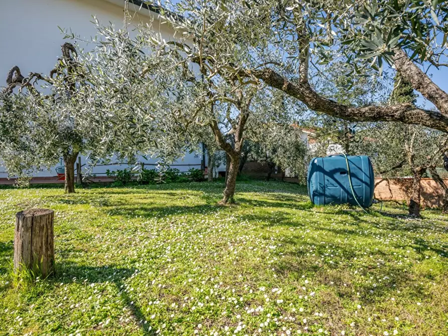 Immagine 68 di Villa in vendita  a Pontedera