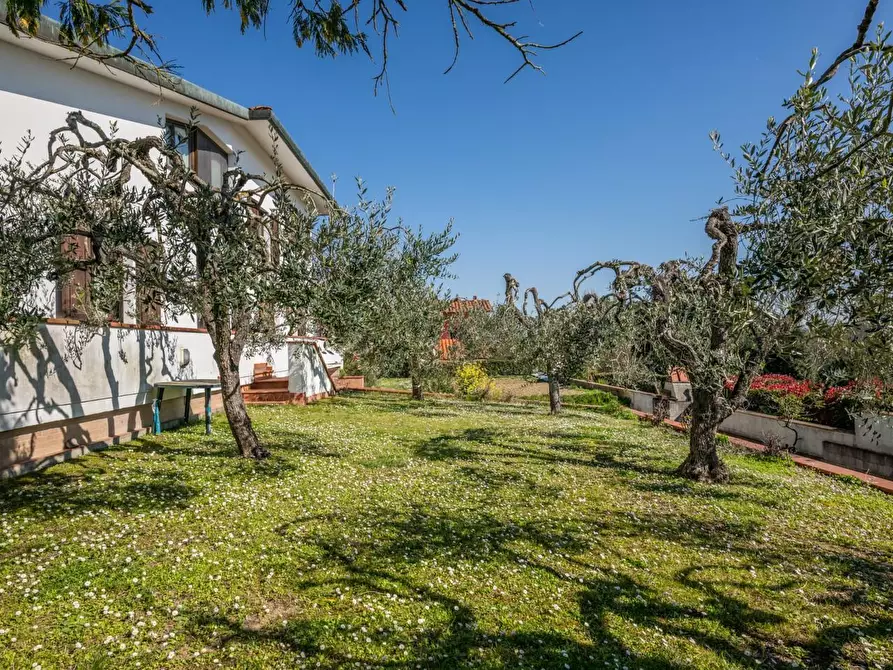 Immagine 62 di Villa in vendita  a Pontedera