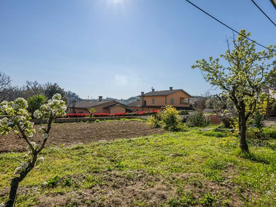 Immagine 67 di Villa in vendita  a Pontedera
