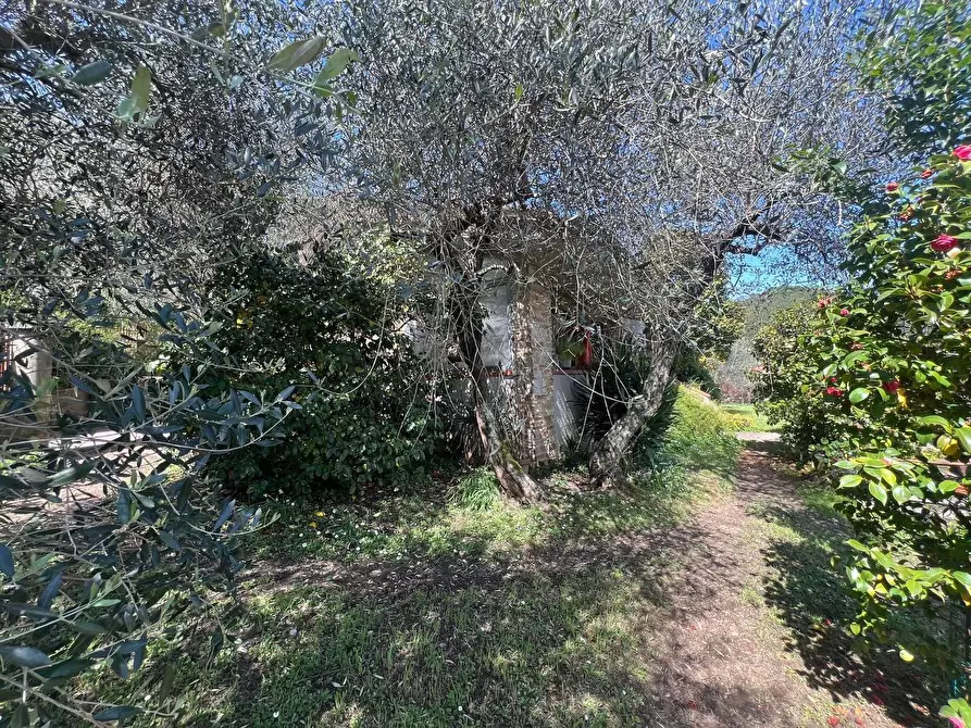 Immagine 17 di Casa indipendente in vendita  a Capannori