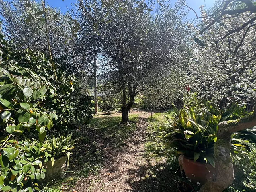 Immagine 18 di Casa indipendente in vendita  a Capannori