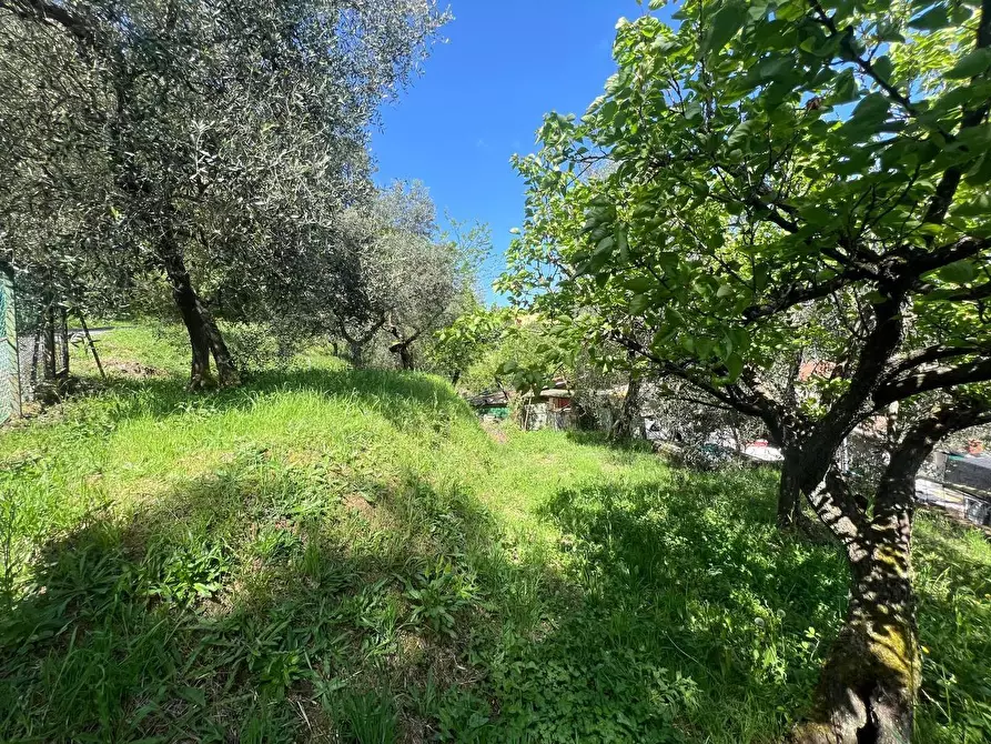 Immagine 4 di Casa indipendente in vendita  a Capannori