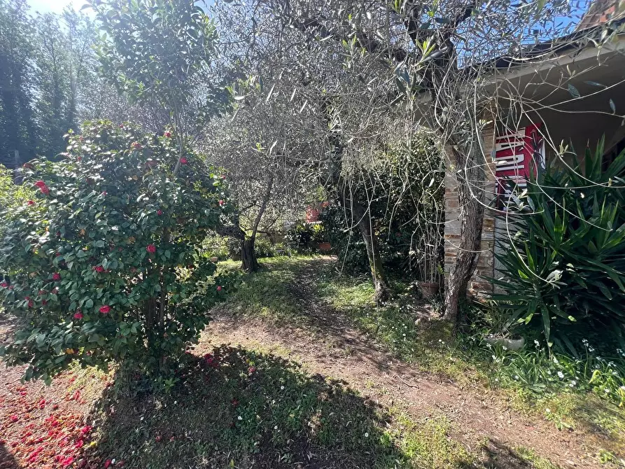 Immagine 19 di Casa indipendente in vendita  a Capannori