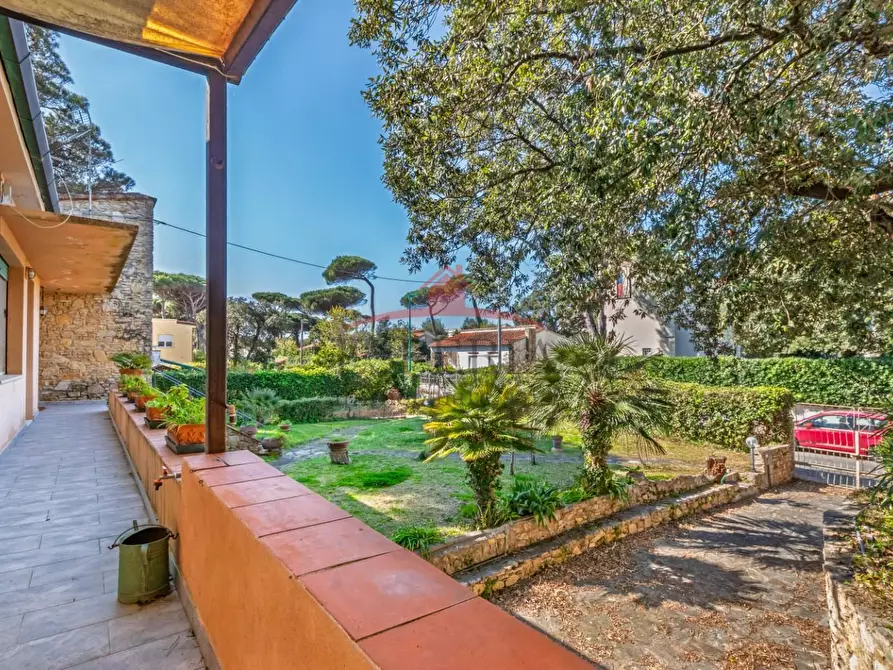 Immagine 2 di Villa in vendita  a Pisa