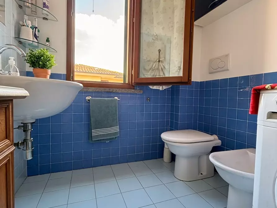 Immagine 14 di Appartamento in vendita  a Calcinaia