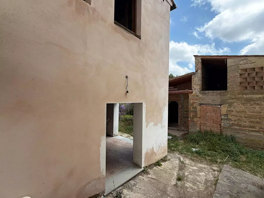 Immagine 23 di Terratetto in vendita  a Casciana Terme Lari