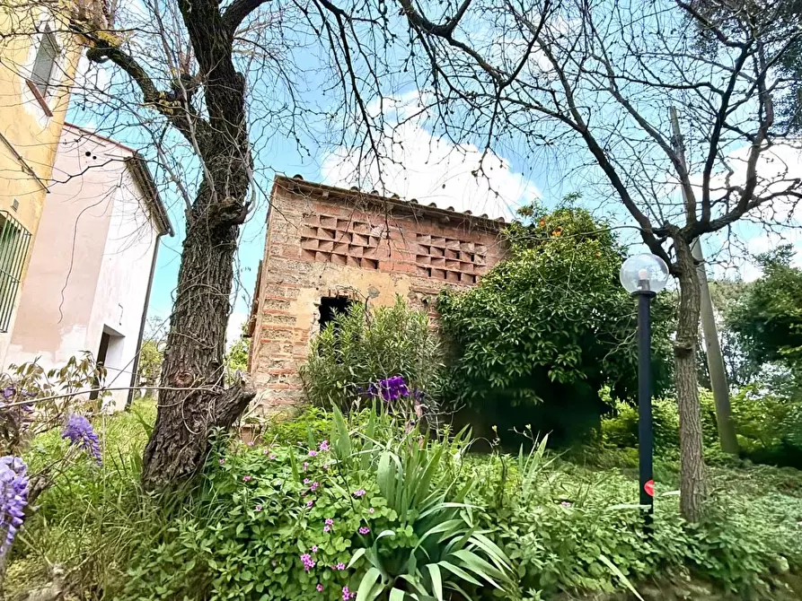 Immagine 26 di Terratetto in vendita  a Casciana Terme Lari